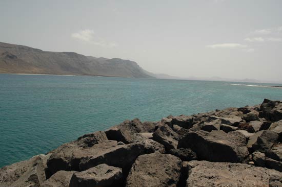 graciosa canaries.