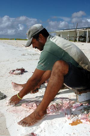 Pecheur raies Venezuela ile de la Tortuga