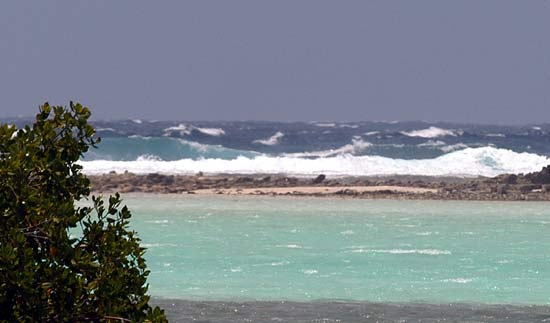 Mer dure sud des roques.