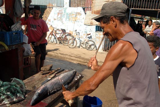 Découpe du poisson Vénézuéla Santa Fé.