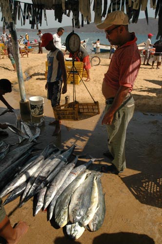 Poisson vente Vénézuéla Santa Fé.