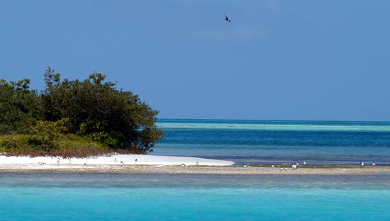 Los roques venezuela