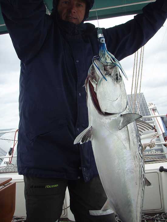 Un peu de poisson sur la route vers le sud.