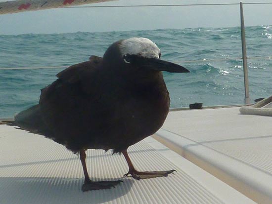 Visite à bord.