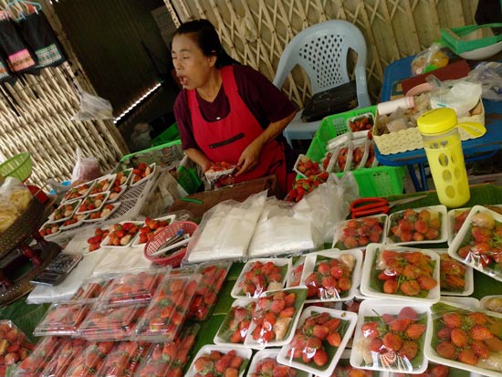 Fraises sans goût.