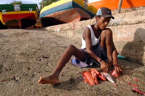 Sal capvert pêcheur.