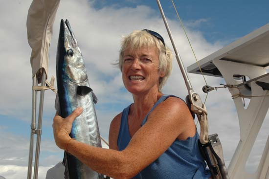 Wahoo pêché durant traversée atlantique.